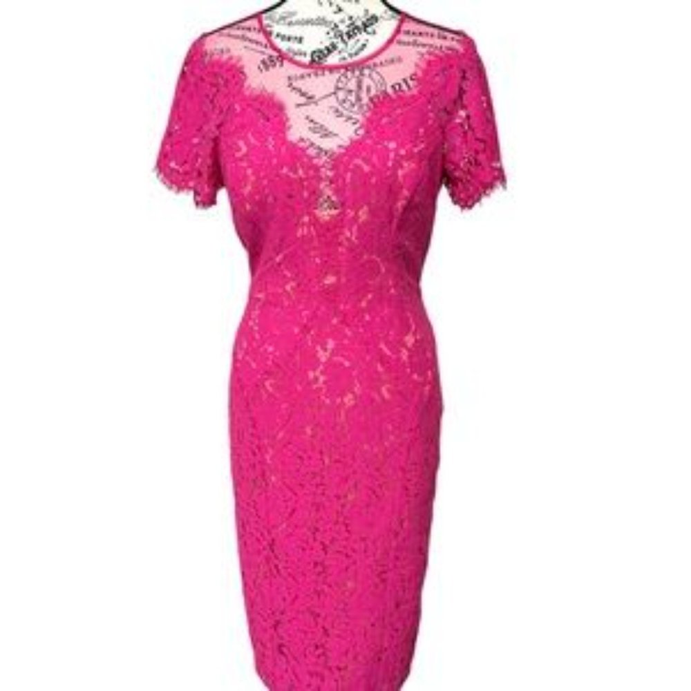 Rene Ruiz Collection pink lace nude sheath dress size 8 - Picture 4 of 5